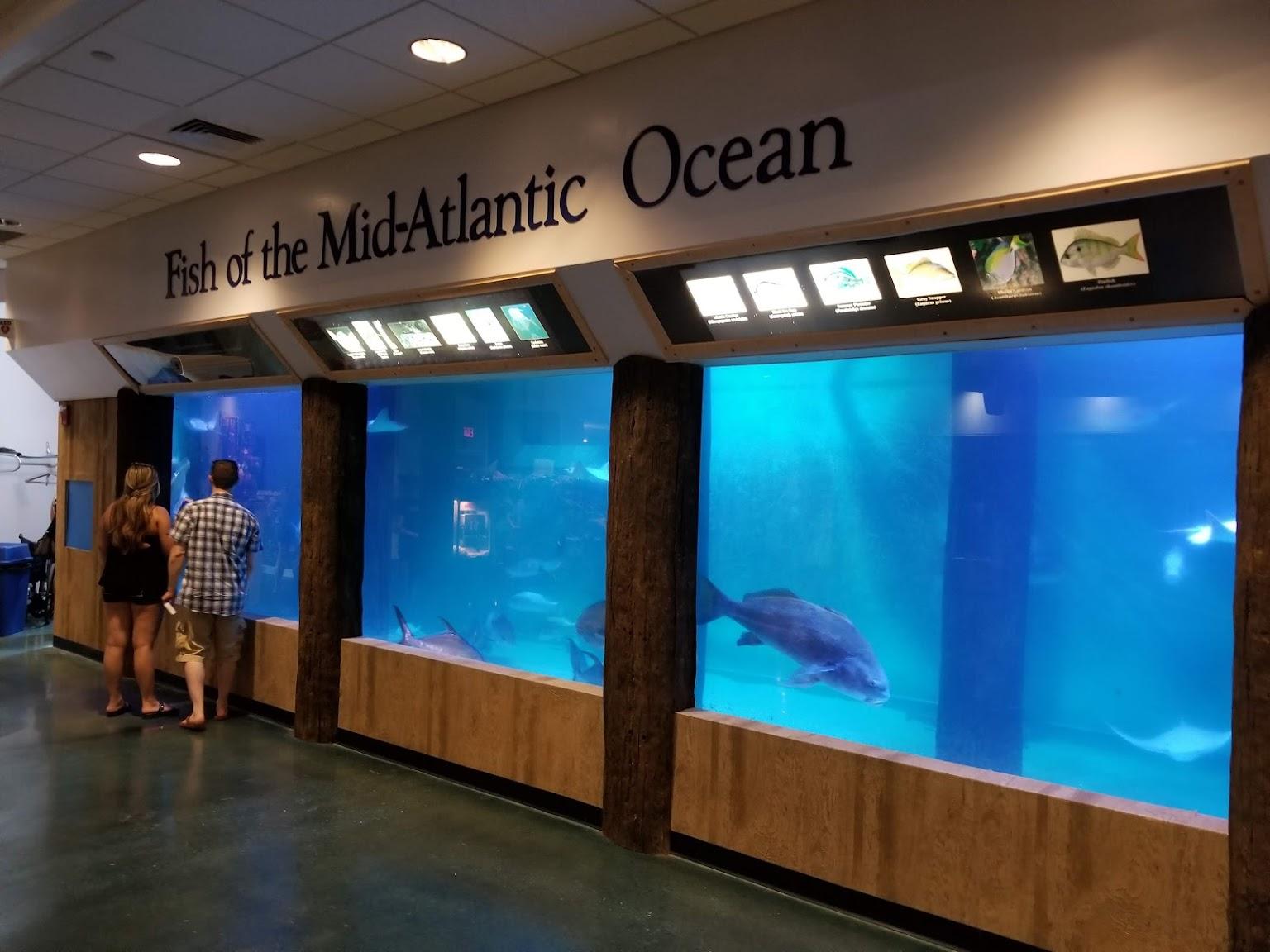 Atlantic City Aquarium – Reviews, Photos, Phone Number And Address ...