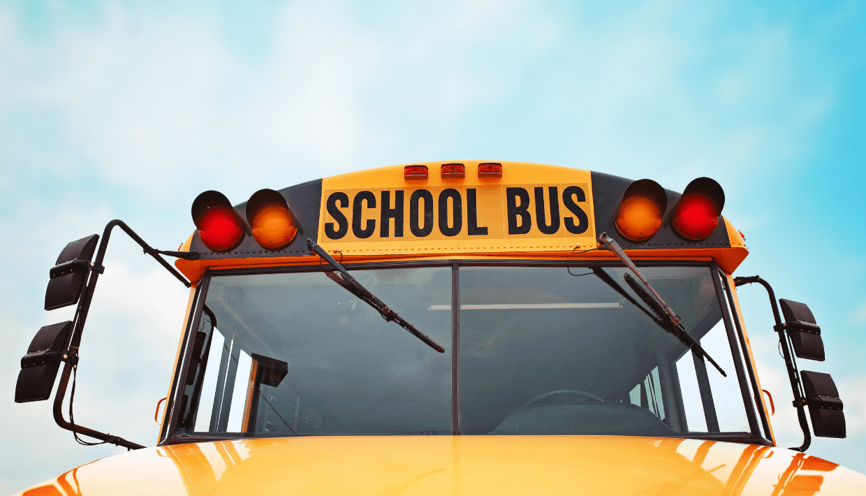 Your bus