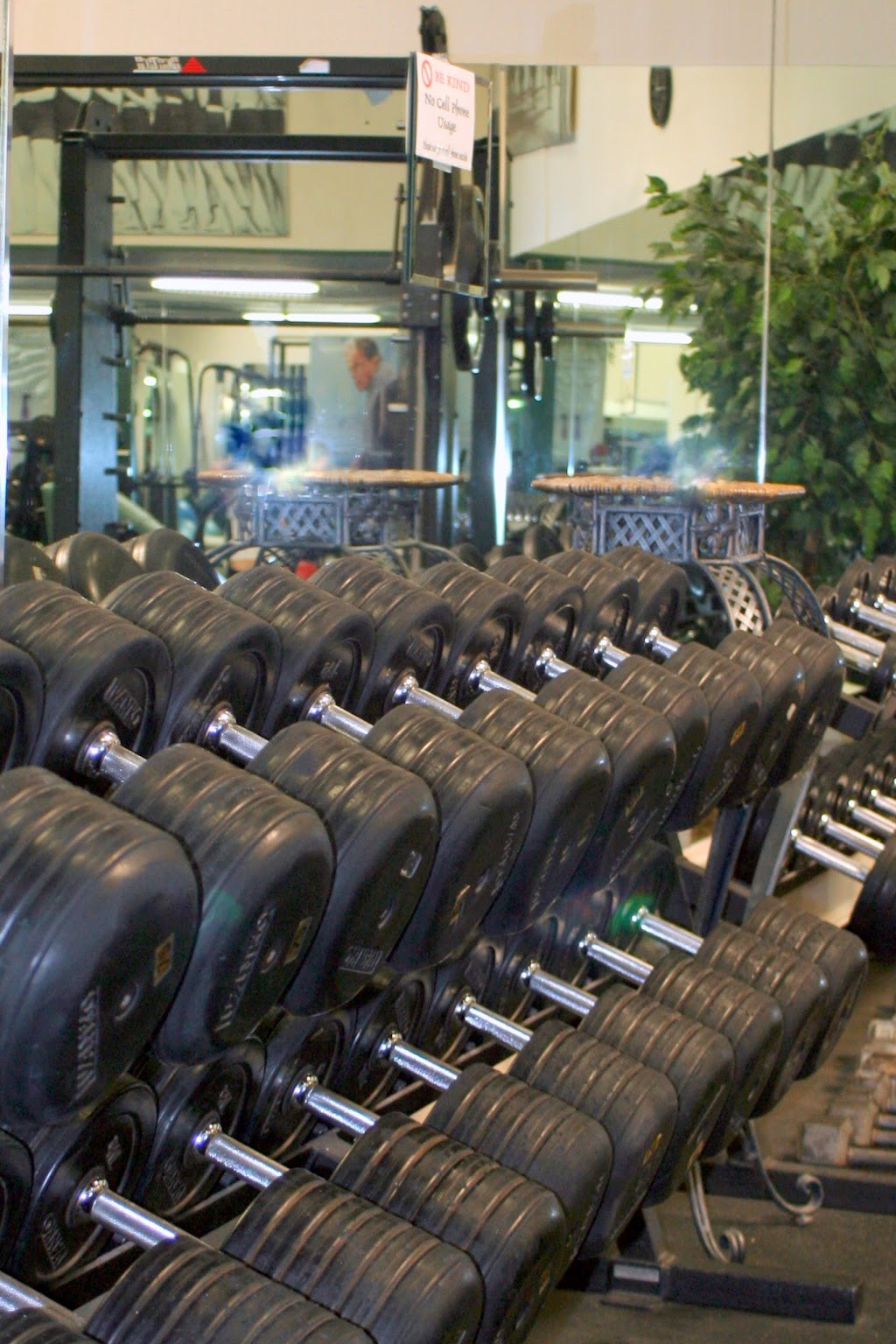 St gym