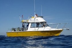 Ocean Quest Scuba Charters