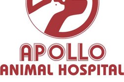 Apollo Animal Hospital